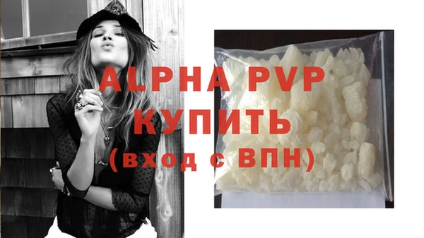 метадон Богданович
